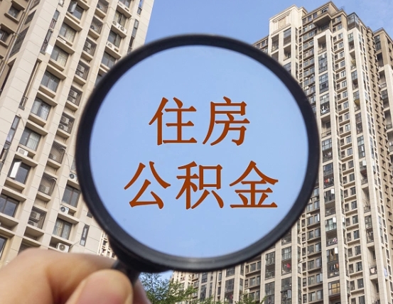 文山退休后查不到公积金明细了吗（退休后公积金查询不到原因）